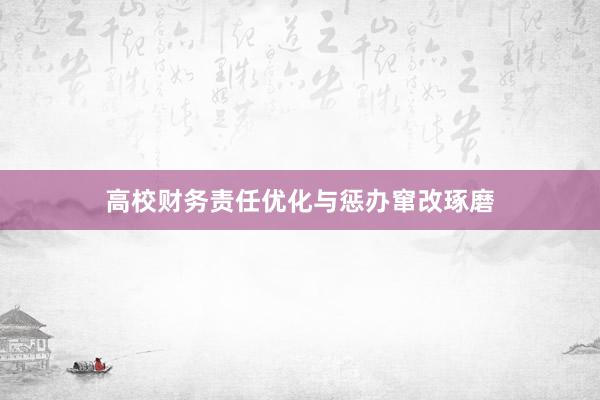 高校财务责任优化与惩办窜改琢磨