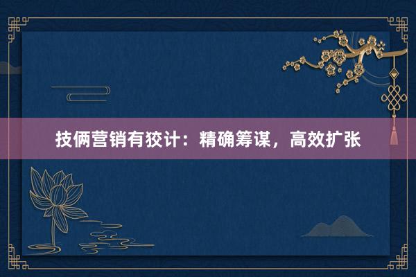技俩营销有狡计：精确筹谋，高效扩张